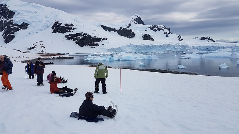 Cuverville Island