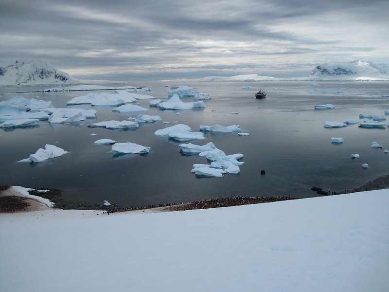Cuverville Island