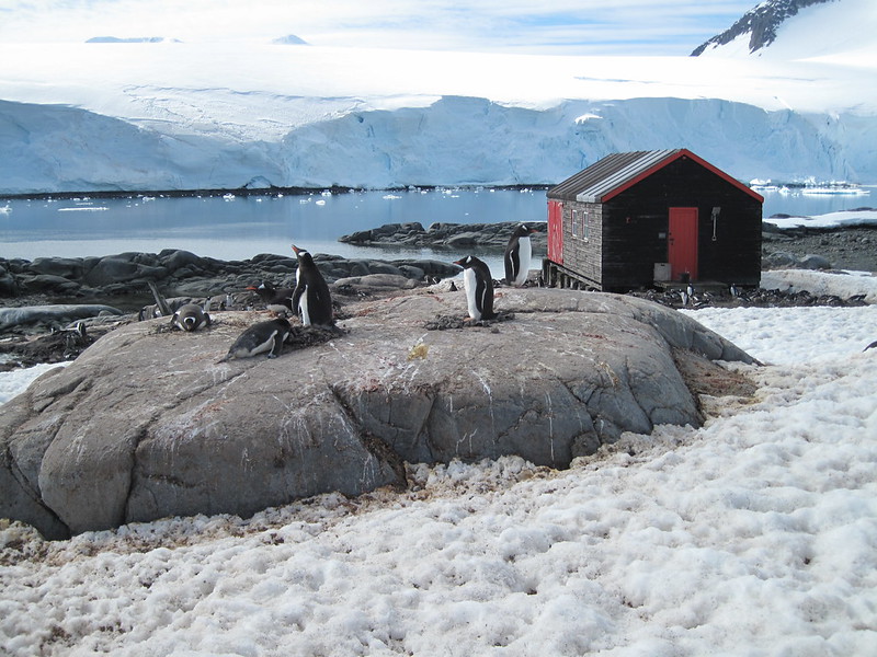 Port Lockroy