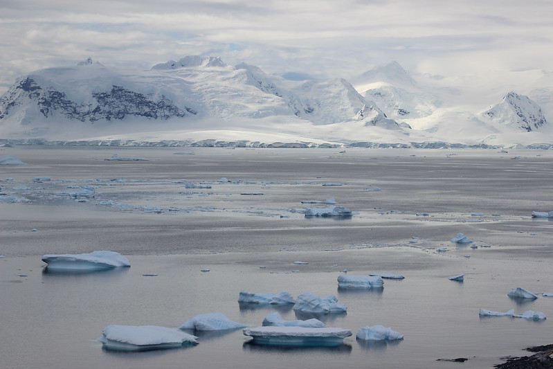 Cuverville Island