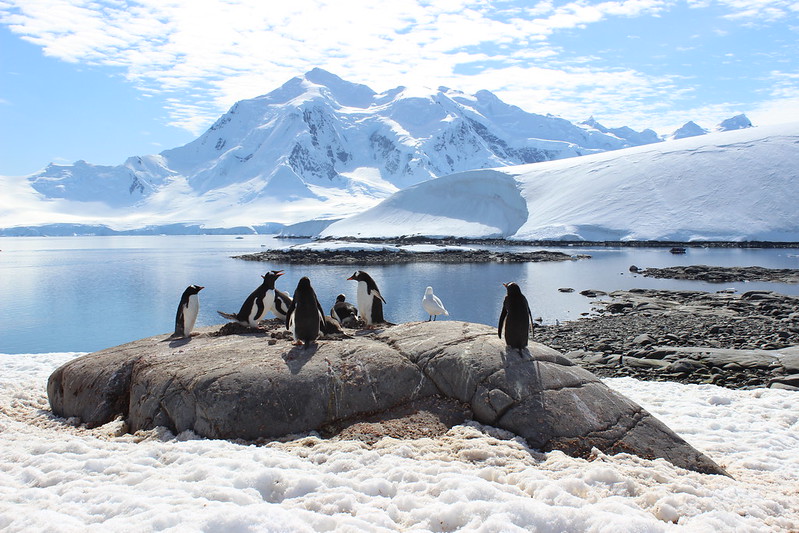 Port Lockroy
