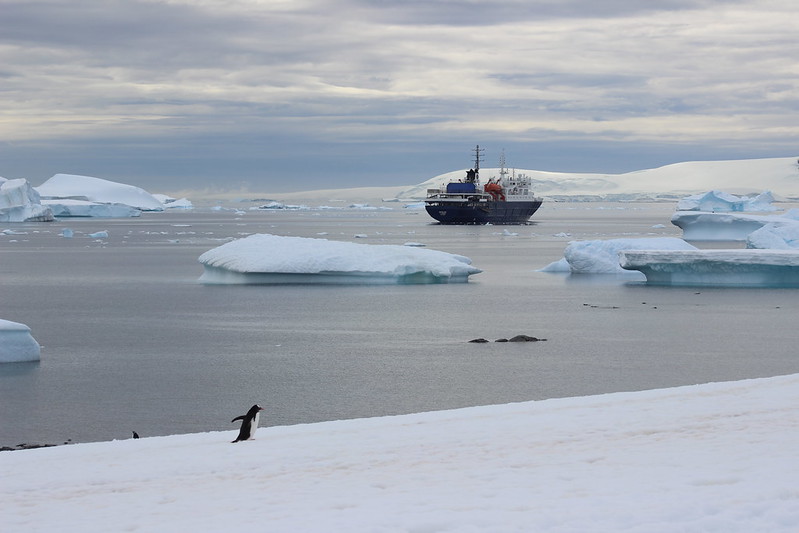 Cuverville Island