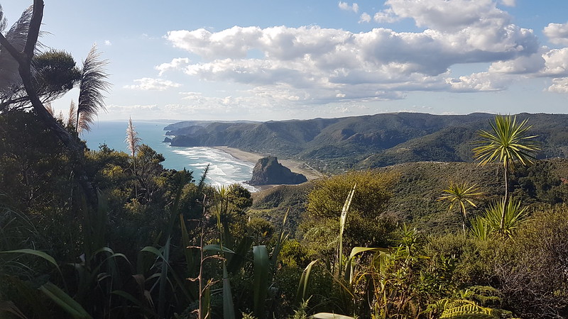 Piha Beach from Mercer Bay Track