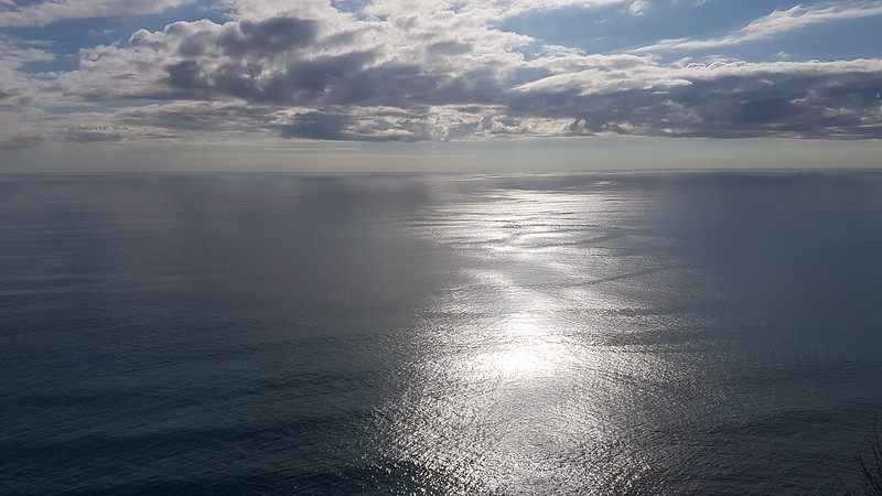 Looking west from Piha