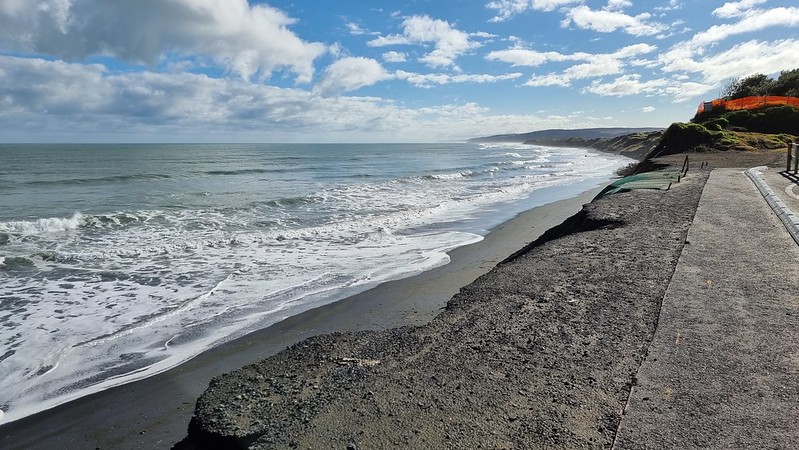 Port Waikato