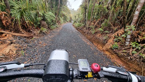 Cutty Grass Track