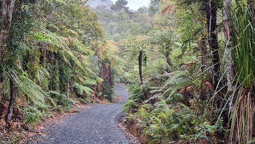 Cutty Grass Track