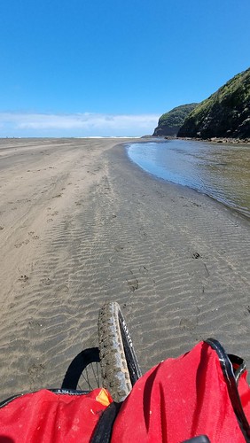 Bethells (Te Henga) Beach