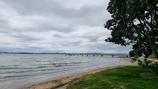 Shelly Beach