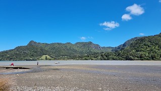 Huia café visitors