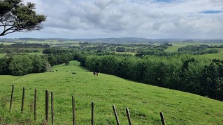 View towards Waitoki