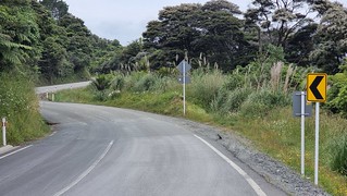 Waitoki Pūhoi ride