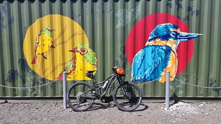 Shaw Rd Oratia Art