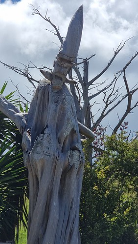 Pakiri Hill Wizard