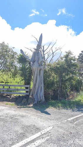 Pakiri Hill Wizard