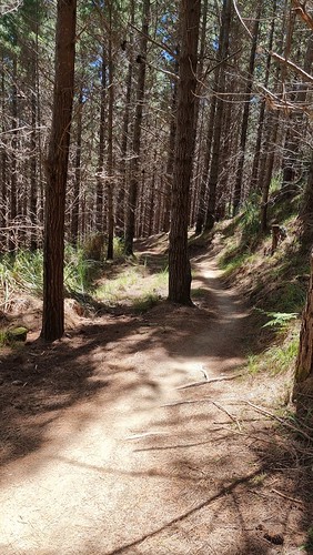 Woodhill Bike Park