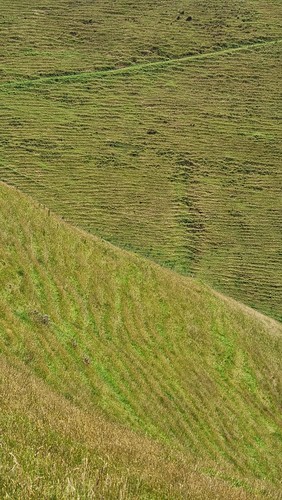 Āwhitu Gully