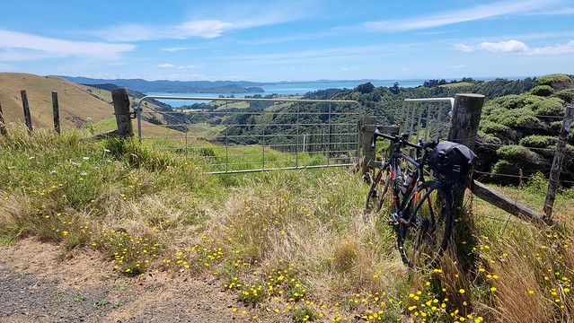 Āwhitu Gully