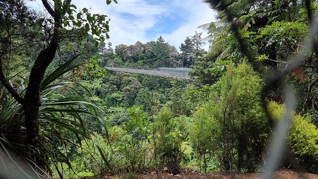 Arapuni Swingbridge