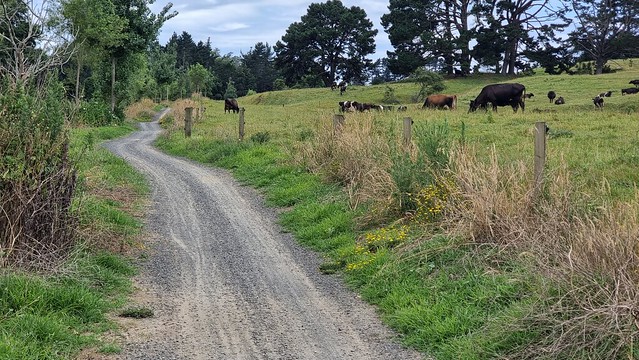 Near Waikino