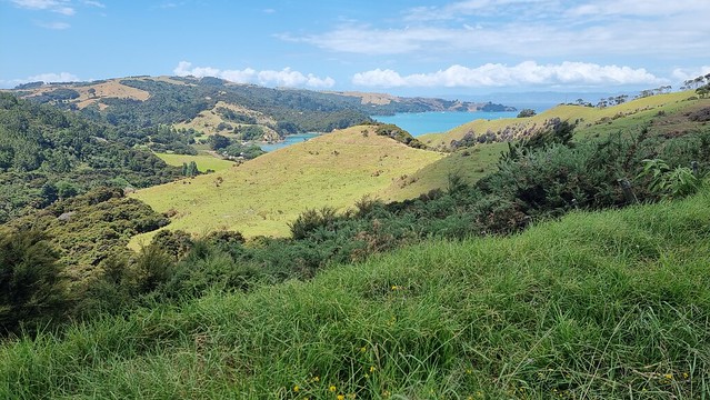 Man O' War Vineyards, Waiheke
