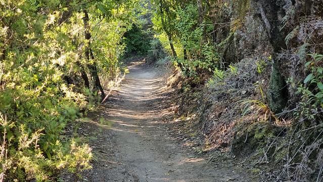 W2K Trail
