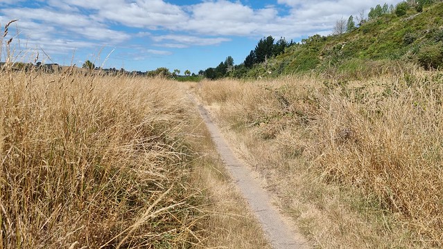 Towards Aratiatia