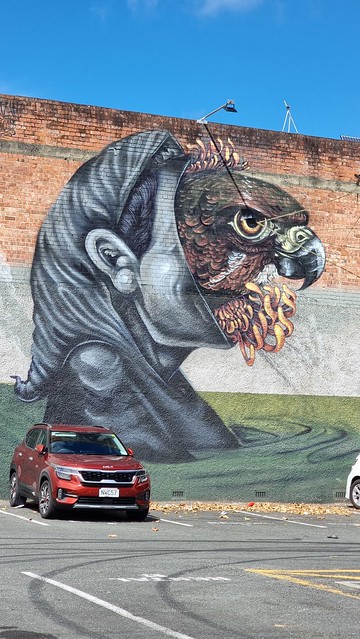 Whanganui River Art