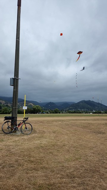 Neale Park Kites