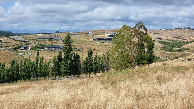 Motukea development