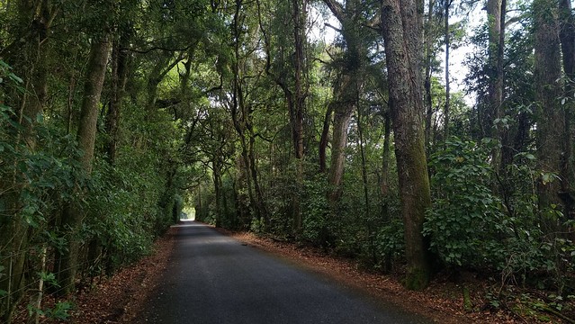 Motueka Valley