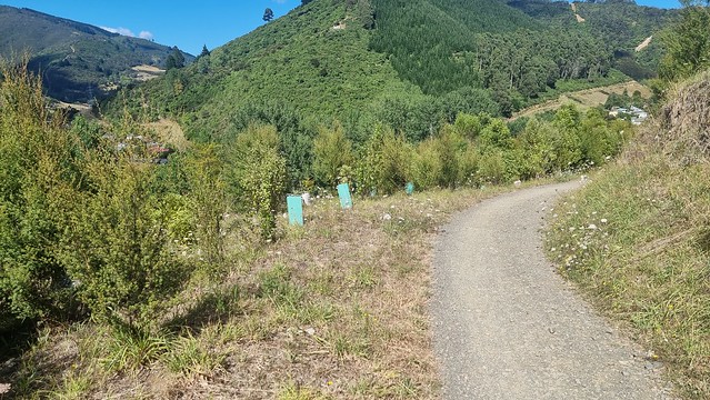 Heading up