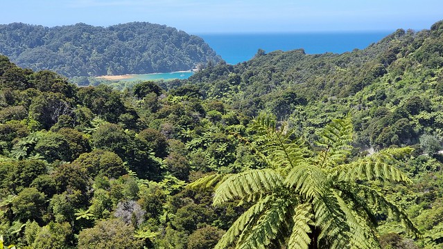 Totaranui Beach