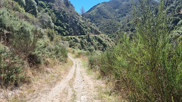 Towards Maitai Dam
