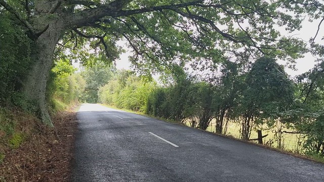 Motueka Valley
