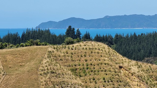 Puramāhoi view