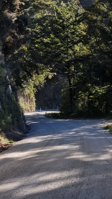 Evening light on Abel Tasman Drive