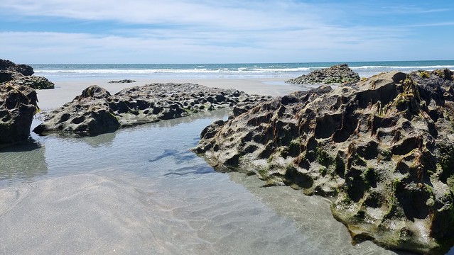 Fossil Point