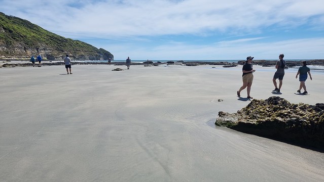 Fossil Point