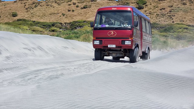 Dune sprint!