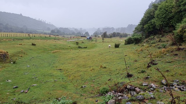 Aorere Goldfields
