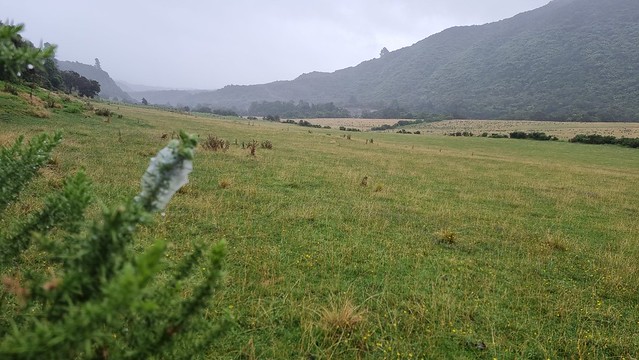 Aorere Goldfields