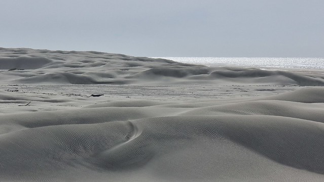 Farewell Spit dunes