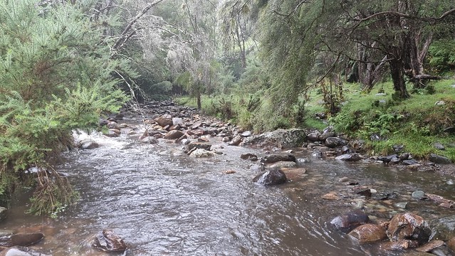 Aorere Goldfields