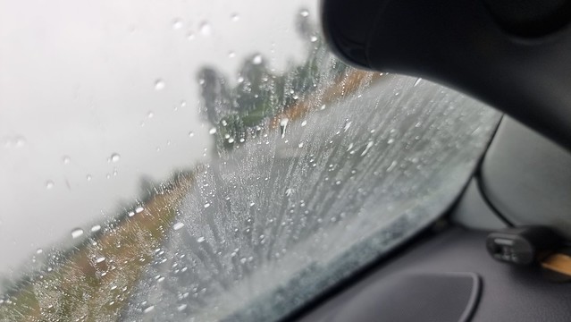 Bravo in the wet