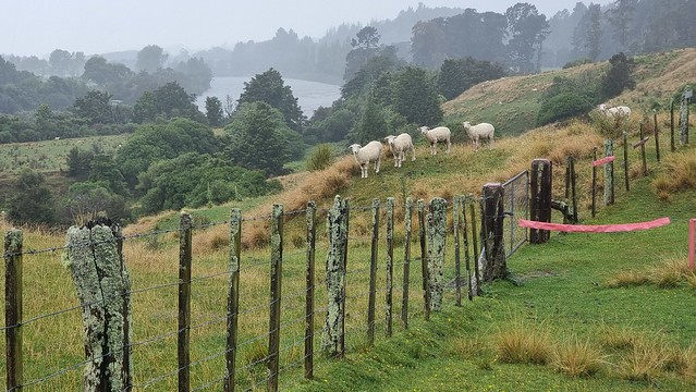 Aorere Goldfields