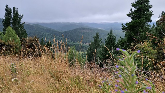 Conical Hill Walk