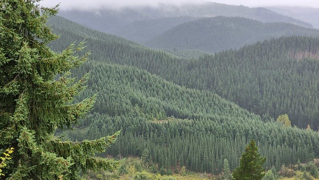 Conical Hill Walk
