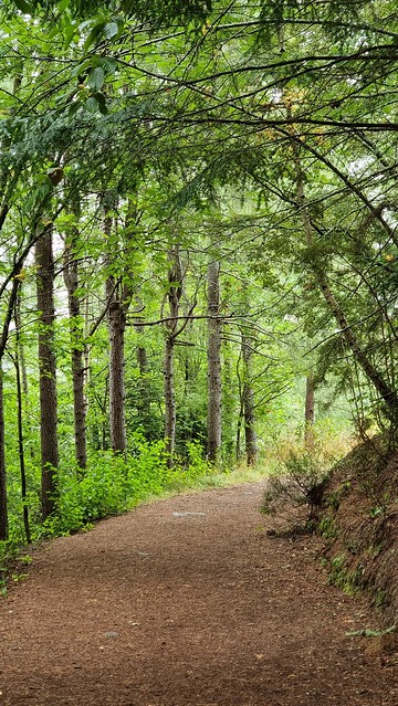 Conical Hill Walk