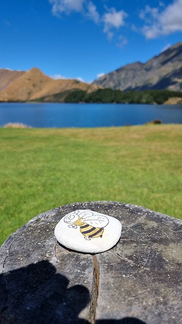 Moke Lake Camp